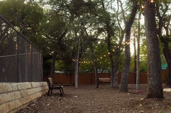 Dog run area